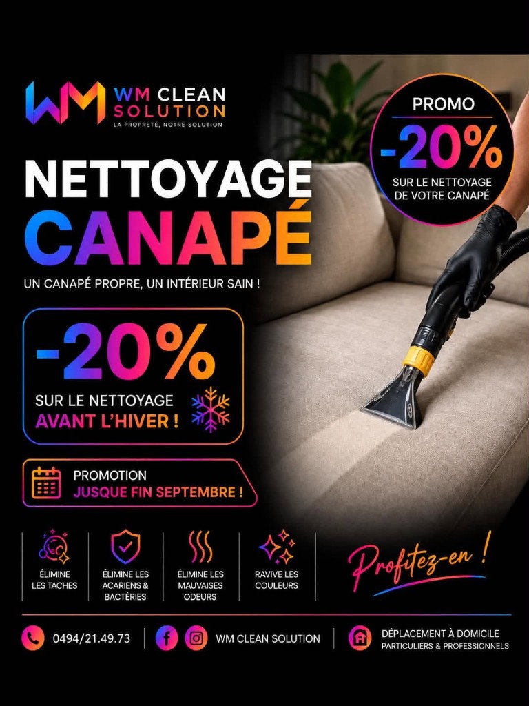 Promo -20% sur le nettoyage de canapé jusqu’à fin septembre — WM Clean Solution